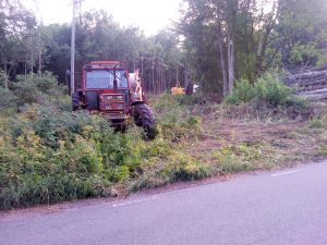 IMG_20180720_185052