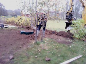 IMG_20181105_153647.jpg